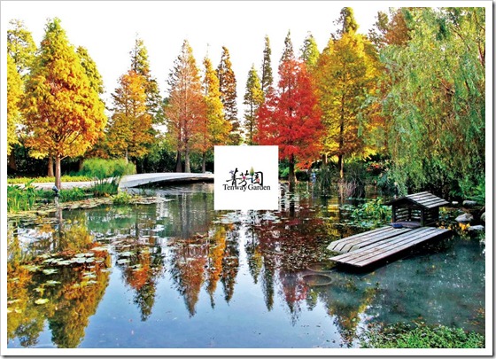 291128_277771395600696_2147331133_o