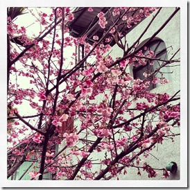 248746_4264107996258_1508206646_n