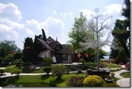 nEO_IMG_P1180432_thumb