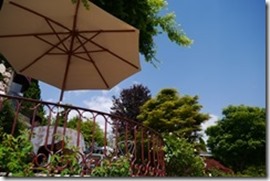 nEO_IMG_P1180435_thumb