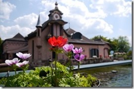 nEO_IMG_P1180436_thumb