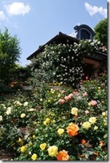 nEO_IMG_P1180441_thumb